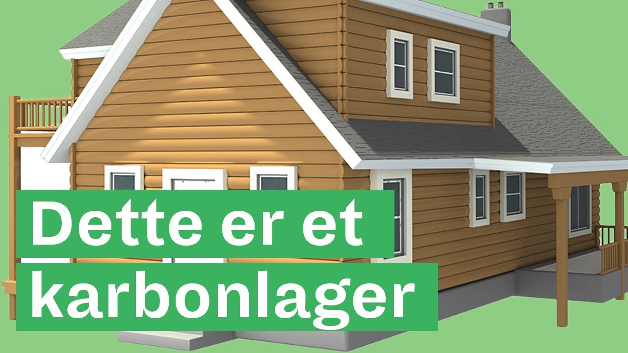 Vi flytter karbon fra trær til ting