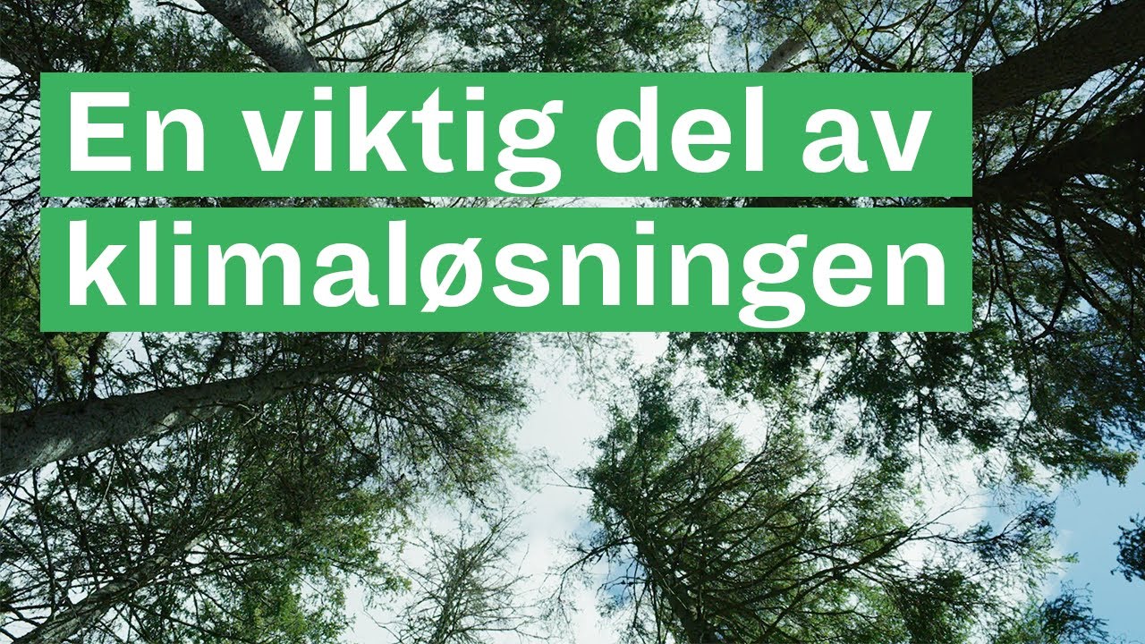 Skogen som klimatiltak