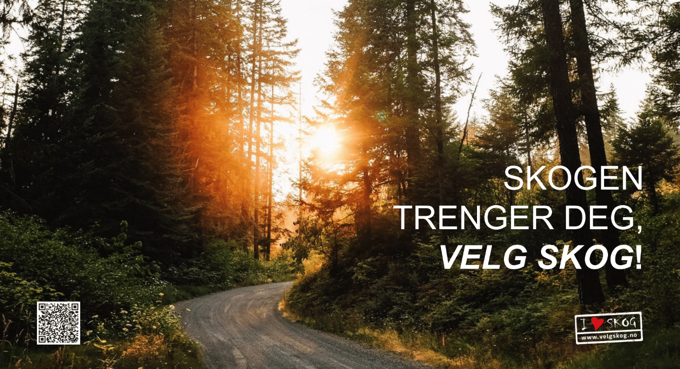 PPT velg skog