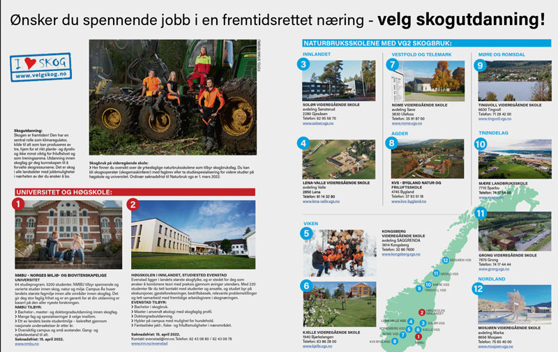 1-sides plansje som viser alle utdanningsmuligheter innen skog i Norge 