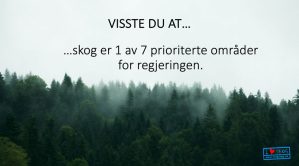 Powerpoint presentasjon som viser yrkes- og utdanningsmuligheter skog