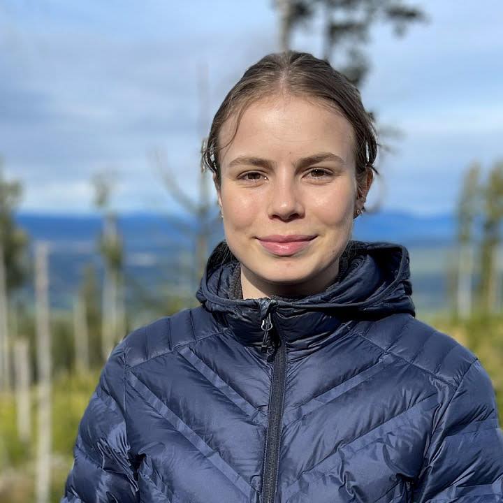 portrett av jente, viil flaata
